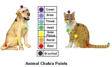Healing Crystals For Pets